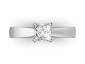 rings SWP37 birds eye view