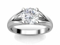 spit shank engagement rings SWR15 raised view
