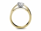 yellow gold split shank engagement rings SYR15 through finger view 